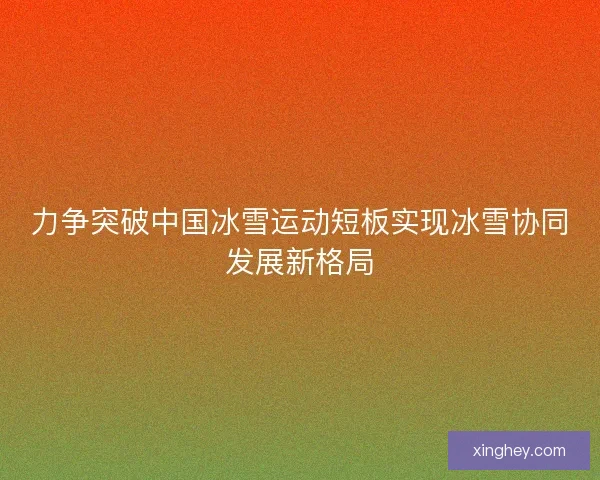 力争突破中国冰雪运动短板实现冰雪协同发展新格局